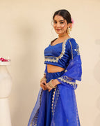 Hansini Blue Lehenga Set